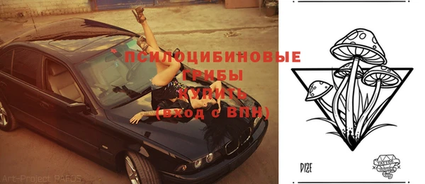 гидра Аркадак
