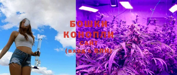 гидра Аркадак