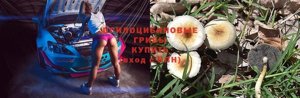 гидра Аркадак