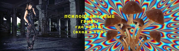 гидра Аркадак