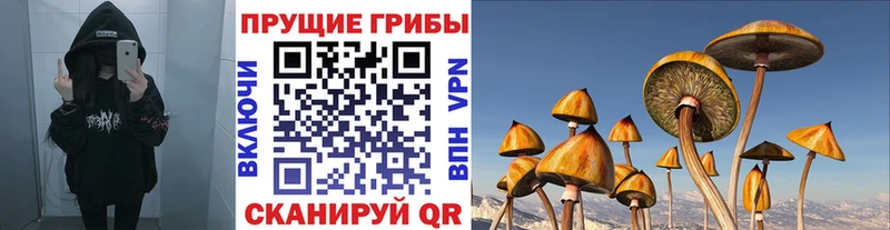 магазин    Таруса  Галлюциногенные грибы ЛСД 